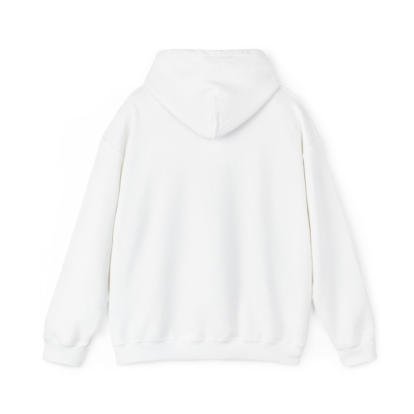 CBSS - 0.3 - Hooded Sweatshirt